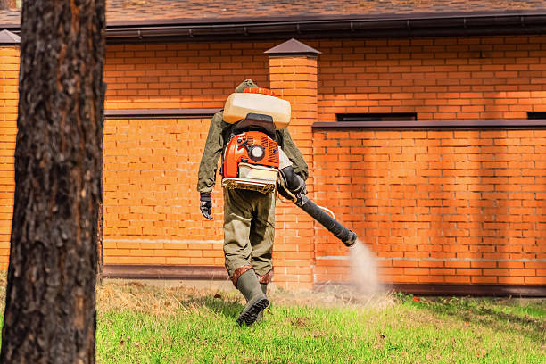 Bed Bug Clearance Verification and Documentation in Dickinson